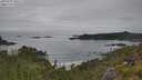./images/calvert/foggy-cove/20250629/foggy-cove20250629_101510M.jpg
