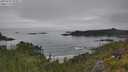 ./images/calvert/foggy-cove/20250629/foggy-cove20250629_103011M.jpg