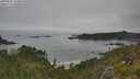 ./images/calvert/foggy-cove/20250629/foggy-cove20250629_104010M.jpg