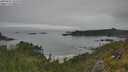 ./images/calvert/foggy-cove/20250629/foggy-cove20250629_104510M.jpg