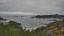 ./images/calvert/foggy-cove/20250629/foggy-cove20250629_105011M.jpg