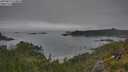 ./images/calvert/foggy-cove/20250629/foggy-cove20250629_110010M.jpg
