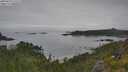 ./images/calvert/foggy-cove/20250629/foggy-cove20250629_111509M.jpg