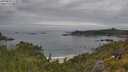 ./images/calvert/foggy-cove/20250629/foggy-cove20250629_113011M.jpg