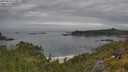 ./images/calvert/foggy-cove/20250629/foggy-cove20250629_113506M.jpg
