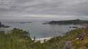 ./images/calvert/foggy-cove/20250629/foggy-cove20250629_114010M.jpg