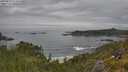 ./images/calvert/foggy-cove/20250629/foggy-cove20250629_114508M.jpg