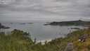 ./images/calvert/foggy-cove/20250629/foggy-cove20250629_115011M.jpg