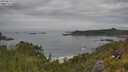 ./images/calvert/foggy-cove/20250629/foggy-cove20250629_115510M.jpg