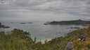 ./images/calvert/foggy-cove/20250629/foggy-cove20250629_120011M.jpg