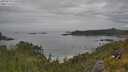 ./images/calvert/foggy-cove/20250629/foggy-cove20250629_120510M.jpg