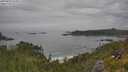 ./images/calvert/foggy-cove/20250629/foggy-cove20250629_121011M.jpg
