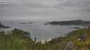 ./images/calvert/foggy-cove/20250629/foggy-cove20250629_121511M.jpg
