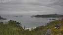./images/calvert/foggy-cove/20250629/foggy-cove20250629_122011M.jpg