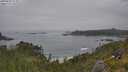 ./images/calvert/foggy-cove/20250629/foggy-cove20250629_123011M.jpg