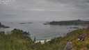 ./images/calvert/foggy-cove/20250629/foggy-cove20250629_125011M.jpg