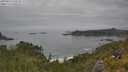 ./images/calvert/foggy-cove/20250629/foggy-cove20250629_125510M.jpg