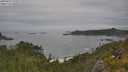 ./images/calvert/foggy-cove/20250629/foggy-cove20250629_131009M.jpg