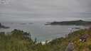 ./images/calvert/foggy-cove/20250629/foggy-cove20250629_131510M.jpg