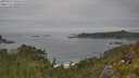 ./images/calvert/foggy-cove/20250629/foggy-cove20250629_132010M.jpg
