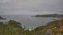 ./images/calvert/foggy-cove/20250629/foggy-cove20250629_133509M.jpg