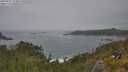 ./images/calvert/foggy-cove/20250629/foggy-cove20250629_134010M.jpg