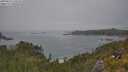./images/calvert/foggy-cove/20250629/foggy-cove20250629_134510M.jpg