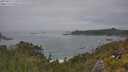 ./images/calvert/foggy-cove/20250629/foggy-cove20250629_135010M.jpg