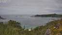 ./images/calvert/foggy-cove/20250629/foggy-cove20250629_140009M.jpg