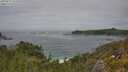 ./images/calvert/foggy-cove/20250629/foggy-cove20250629_141010M.jpg
