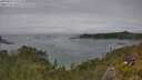 ./images/calvert/foggy-cove/20250629/foggy-cove20250629_144510M.jpg