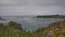 ./images/calvert/foggy-cove/20250629/foggy-cove20250629_145010M.jpg