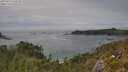 ./images/calvert/foggy-cove/20250629/foggy-cove20250629_150510M.jpg