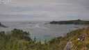 ./images/calvert/foggy-cove/20250629/foggy-cove20250629_151008M.jpg