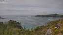 ./images/calvert/foggy-cove/20250629/foggy-cove20250629_151510M.jpg