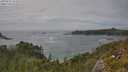 ./images/calvert/foggy-cove/20250629/foggy-cove20250629_152509M.jpg