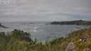 ./images/calvert/foggy-cove/20250629/foggy-cove20250629_153009M.jpg