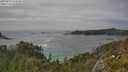 ./images/calvert/foggy-cove/20250629/foggy-cove20250629_153510M.jpg