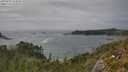 ./images/calvert/foggy-cove/20250629/foggy-cove20250629_154010M.jpg