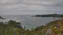./images/calvert/foggy-cove/20250629/foggy-cove20250629_155010M.jpg