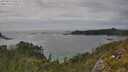 ./images/calvert/foggy-cove/20250629/foggy-cove20250629_155508M.jpg