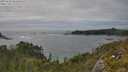 ./images/calvert/foggy-cove/20250629/foggy-cove20250629_161010M.jpg