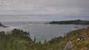 ./images/calvert/foggy-cove/20250629/foggy-cove20250629_162509M.jpg
