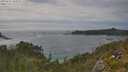 ./images/calvert/foggy-cove/20250629/foggy-cove20250629_163509M.jpg