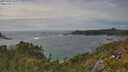 ./images/calvert/foggy-cove/20250629/foggy-cove20250629_165009M.jpg
