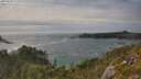 ./images/calvert/foggy-cove/20250629/foggy-cove20250629_171009M.jpg