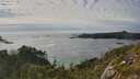 ./images/calvert/foggy-cove/20250629/foggy-cove20250629_174511M.jpg