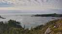 ./images/calvert/foggy-cove/20250629/foggy-cove20250629_175010M.jpg