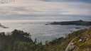 ./images/calvert/foggy-cove/20250629/foggy-cove20250629_183510M.jpg