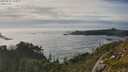./images/calvert/foggy-cove/20250629/foggy-cove20250629_184010M.jpg
